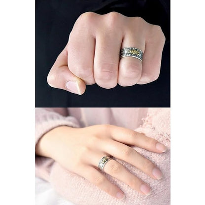 Bague porte-bonheur Feng Shui Bixiu pour homme et femme