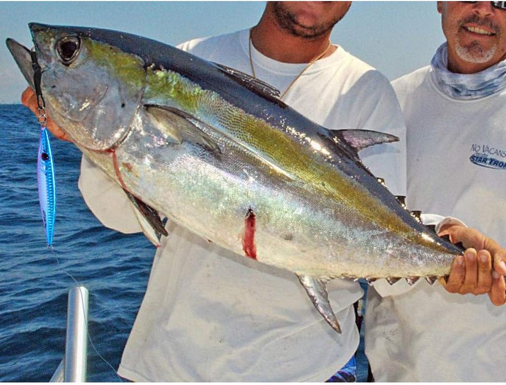 Le leurre parfait pour  la pêche