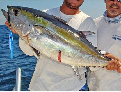 Le leurre parfait pour  la pêche