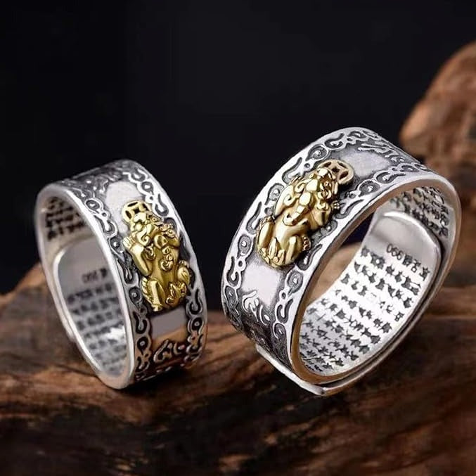 Bague porte-bonheur Feng Shui Bixiu pour homme et femme