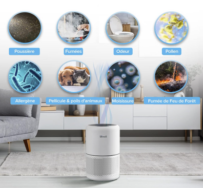 Purificateur d'air domestique.