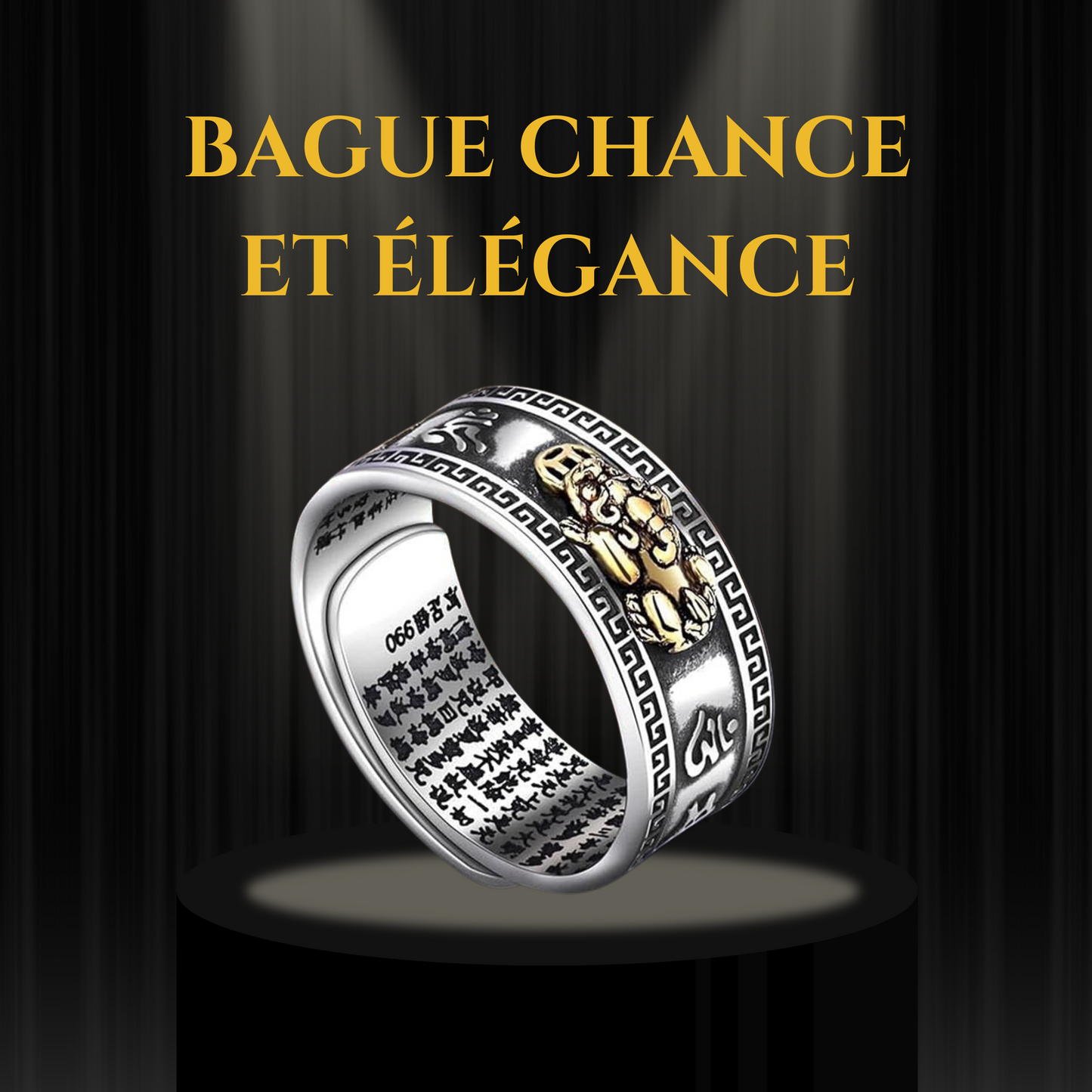Bague porte-bonheur Feng Shui Bixiu pour homme et femme
