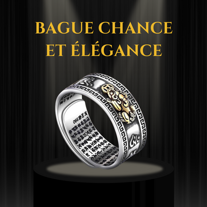 Bague porte-bonheur Feng Shui Bixiu pour homme et femme